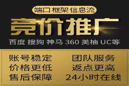 SEM推广实战：成功案例解读与策略调整